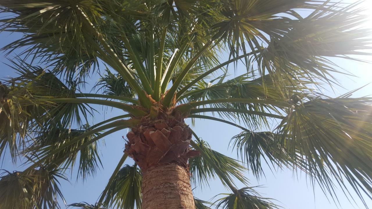 Estudio En تيولادا المظهر الخارجي الصورة