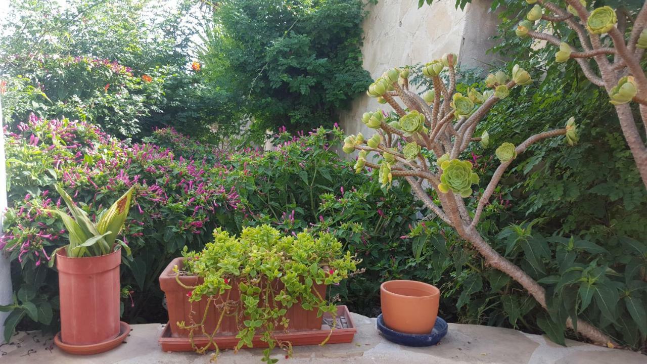 Estudio En تيولادا المظهر الخارجي الصورة